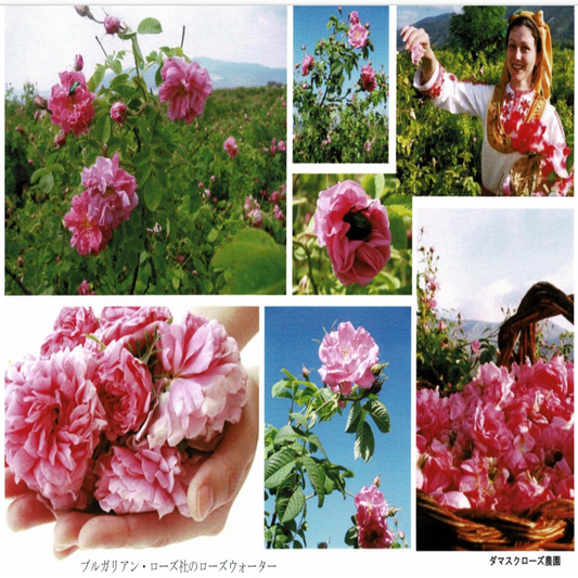 ブルガリアのローズウォーター 330mL (100% ダマスクローズウォーター、ブルガリア製、ブルガリア政府認証)